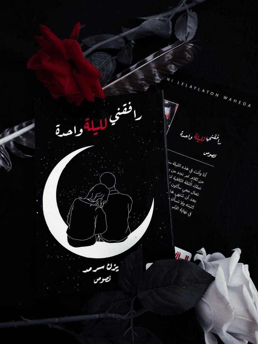 رافقني لليلة واحدة